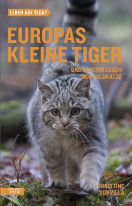 Coverabbildung von "Europas kleine Tiger"